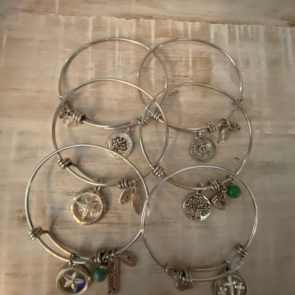 6 Expandable Bangle Charm Bracelets.